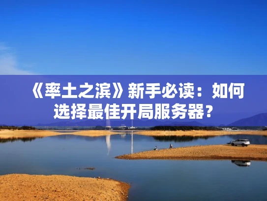 《率土之滨》新手必读：如何选择最佳开局服务器？