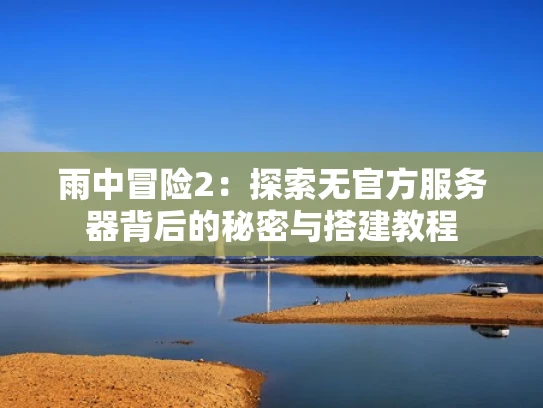 雨中冒险2：探索无官方服务器背后的秘密与搭建教程