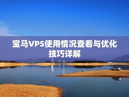 宝马VPS使用情况查看与优化技巧详解