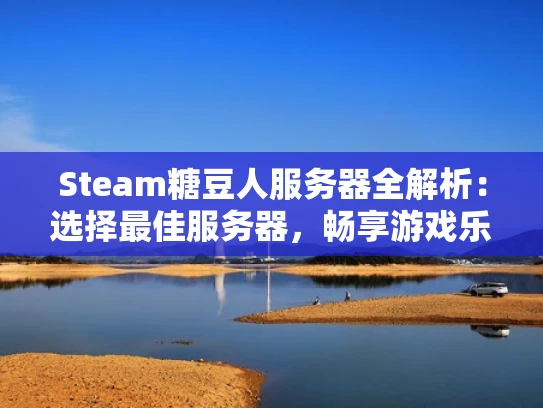 Steam糖豆人服务器全解析：选择最佳服务器，畅享游戏乐趣