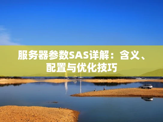 服务器参数SAS详解：含义、配置与优化技巧
