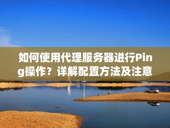 如何使用代理服务器进行Ping操作？详解配置方法及注意事项