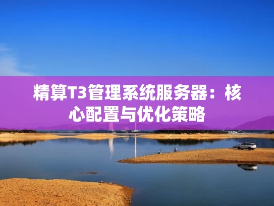 精算T3管理系统服务器：核心配置与优化策略