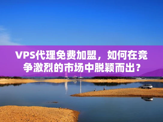 VPS代理免费加盟，如何在竞争激烈的市场中脱颖而出？