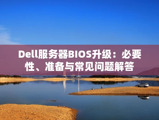 Dell服务器BIOS升级：必要性、准备与常见问题解答