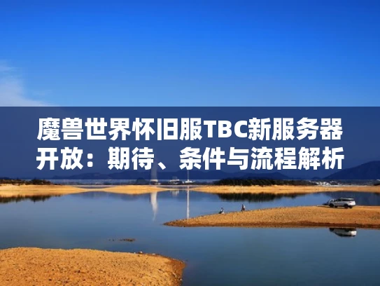 魔兽世界怀旧服TBC新服务器开放：期待、条件与流程解析