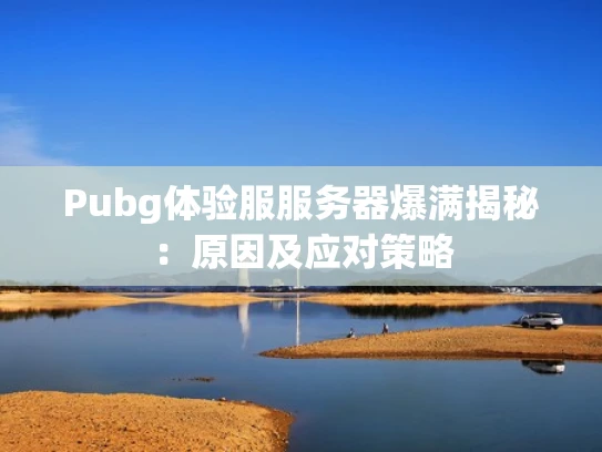 Pubg体验服服务器爆满揭秘：原因及应对策略