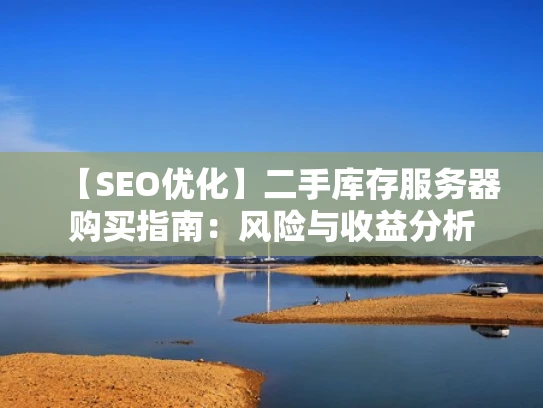 【SEO优化】二手库存服务器购买指南：风险与收益分析