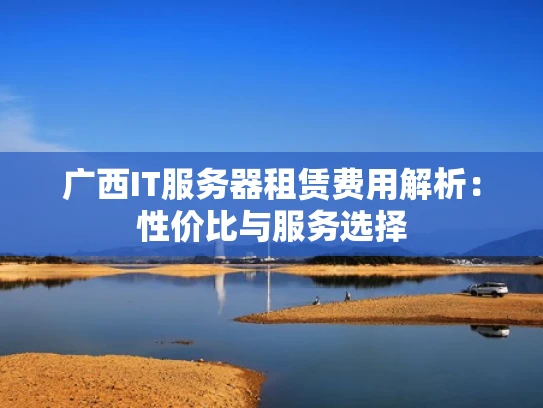广西IT服务器租赁费用解析：性价比与服务选择