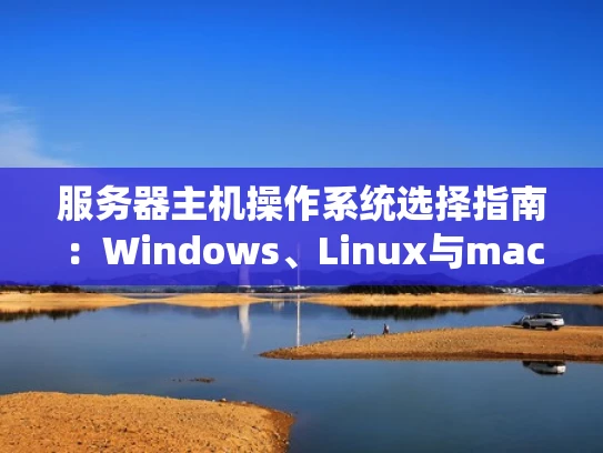 服务器主机操作系统选择指南：Windows、Linux与macOS比较