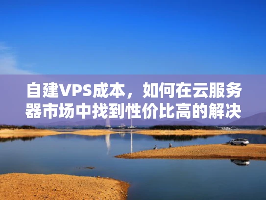 自建VPS成本，如何在云服务器市场中找到性价比高的解决方案？