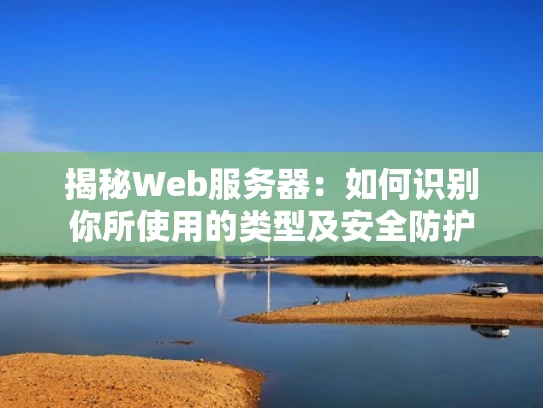 揭秘Web服务器：如何识别你所使用的类型及安全防护