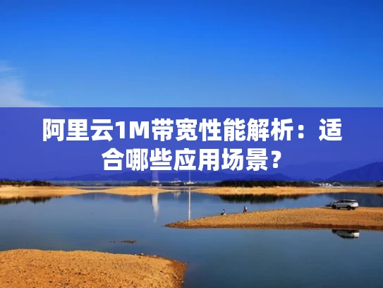 阿里云1M带宽性能解析：适合哪些应用场景？
