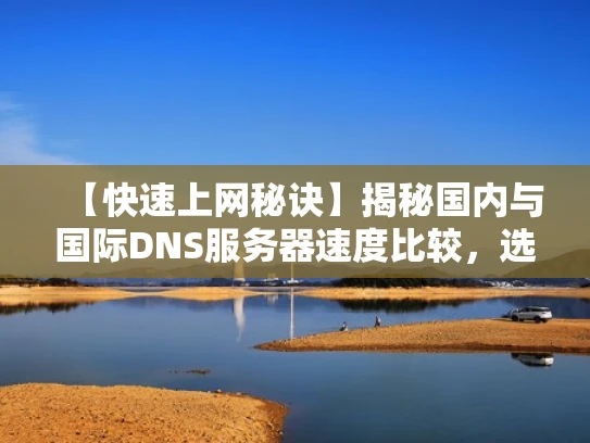 【快速上网秘诀】揭秘国内与国际DNS服务器速度比较，选对提升网络体验