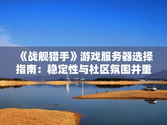 《战舰猎手》游戏服务器选择指南：稳定性与社区氛围并重