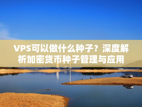 VPS可以做什么种子？深度解析加密货币种子管理与应用