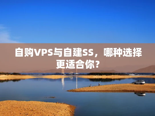 自购VPS与自建SS，哪种选择更适合你？