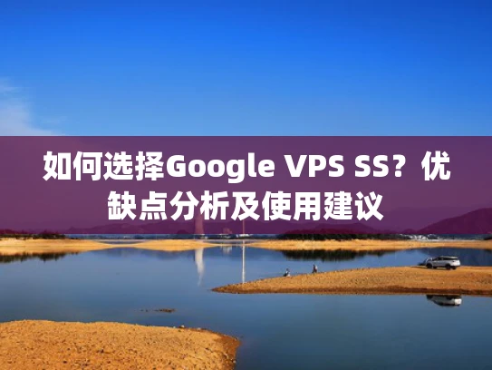 如何选择Google VPS SS？优缺点分析及使用建议
