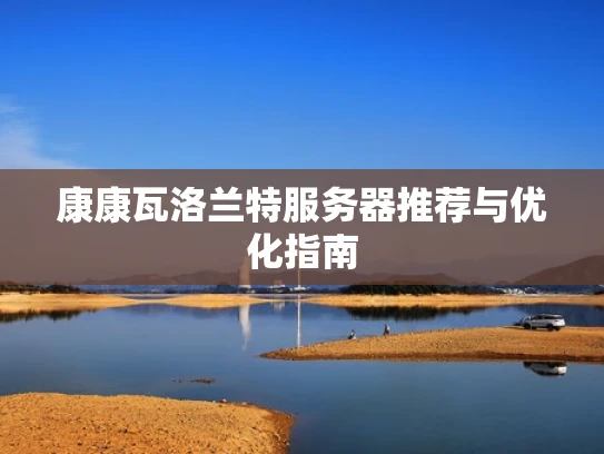 康康瓦洛兰特服务器推荐与优化指南