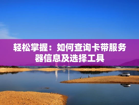 轻松掌握：如何查询卡带服务器信息及选择工具