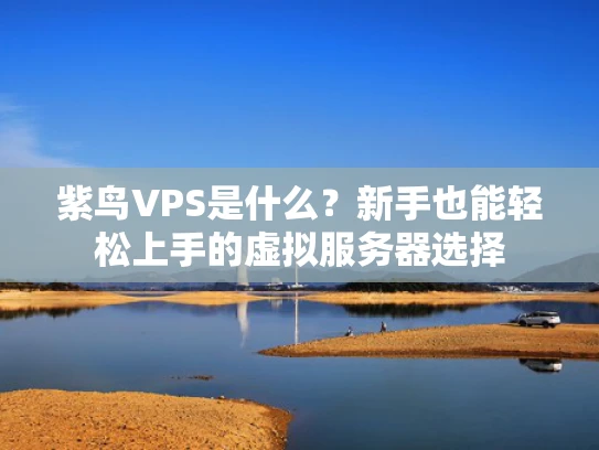 紫鸟VPS是什么？新手也能轻松上手的虚拟服务器选择