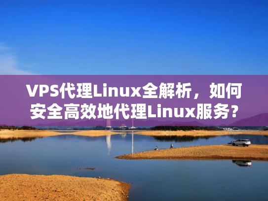 VPS代理Linux全解析，如何安全高效地代理Linux服务？