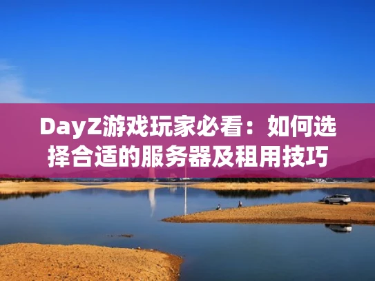 DayZ游戏玩家必看：如何选择合适的服务器及租用技巧