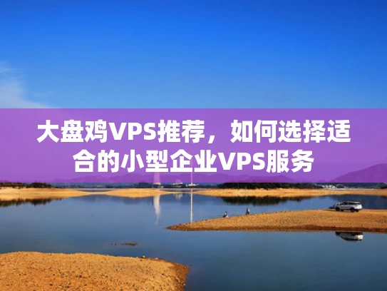 大盘鸡VPS推荐，如何选择适合的小型企业VPS服务