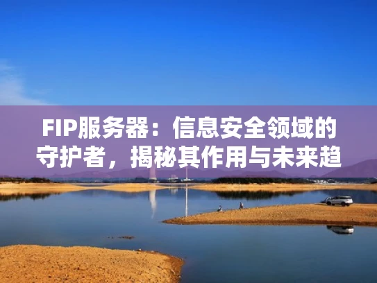 FIP服务器：信息安全领域的守护者，揭秘其作用与未来趋势