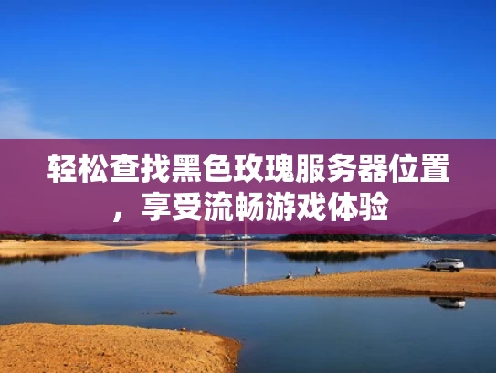 轻松查找黑色玫瑰服务器位置，享受流畅游戏体验
