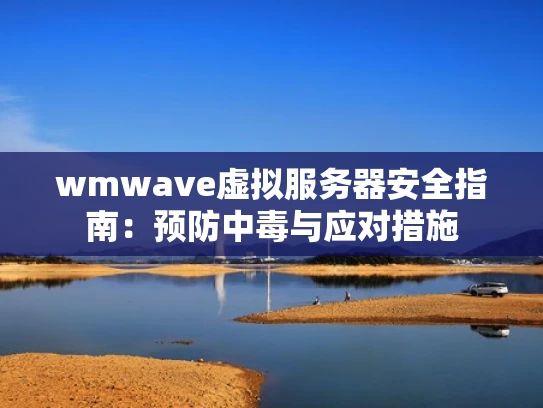 wmwave虚拟服务器安全指南：预防中毒与应对措施