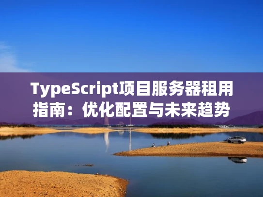 TypeScript项目服务器租用指南：优化配置与未来趋势
