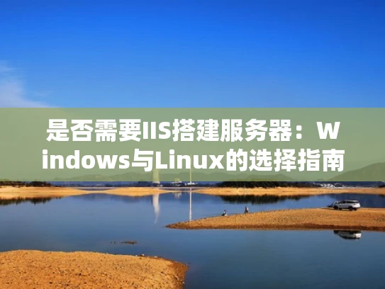 是否需要IIS搭建服务器：Windows与Linux的选择指南