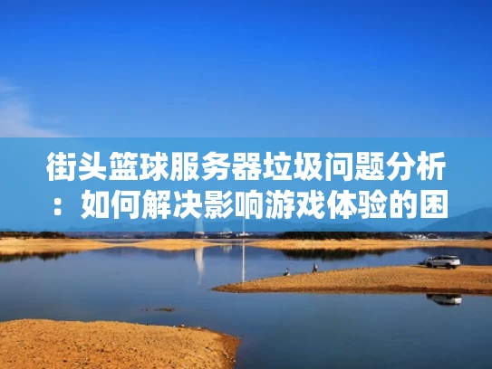 街头篮球服务器垃圾问题分析：如何解决影响游戏体验的困扰