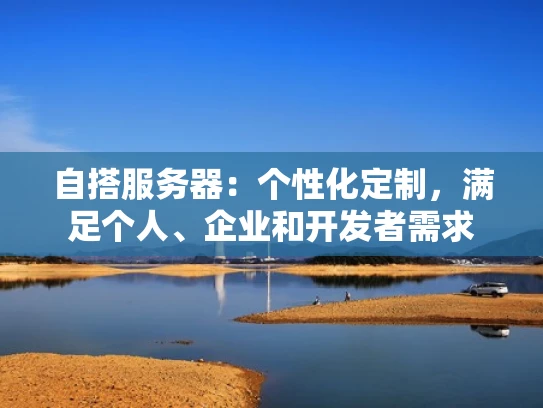 自搭服务器：个性化定制，满足个人、企业和开发者需求
