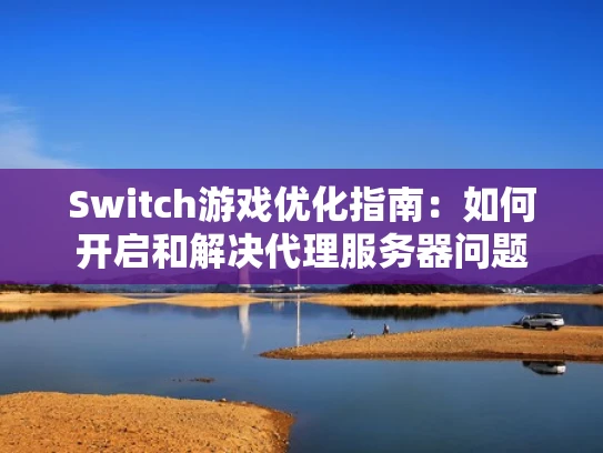 Switch游戏优化指南：如何开启和解决代理服务器问题