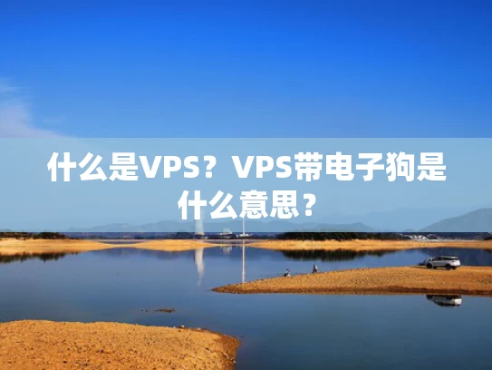 什么是VPS？VPS带电子狗是什么意思？