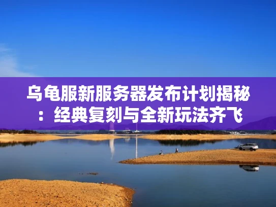 乌龟服新服务器发布计划揭秘：经典复刻与全新玩法齐飞