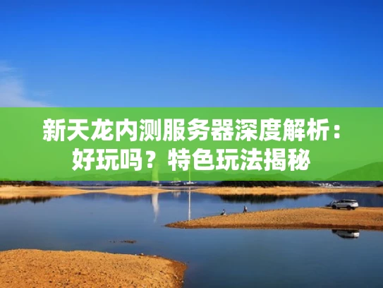 新天龙内测服务器深度解析：好玩吗？特色玩法揭秘