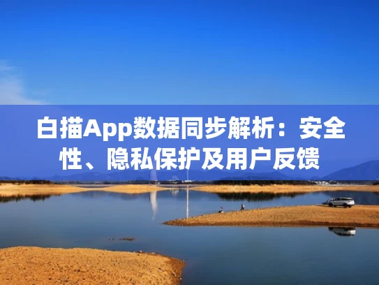 白描App数据同步解析：安全性、隐私保护及用户反馈