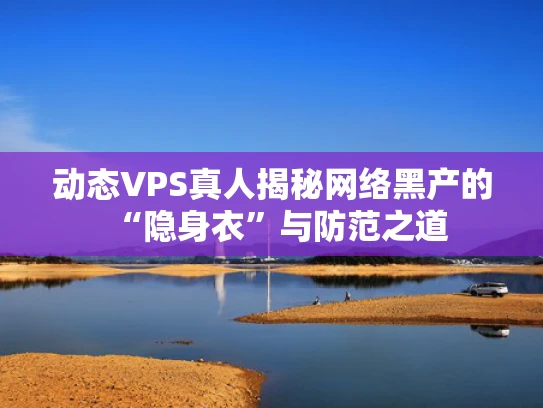 动态VPS真人揭秘网络黑产的“隐身衣”与防范之道
