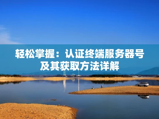 轻松掌握：认证终端服务器号及其获取方法详解
