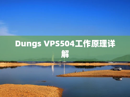 Dungs VPS504工作原理详解