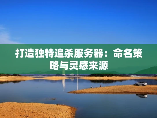 打造独特追杀服务器：命名策略与灵感来源