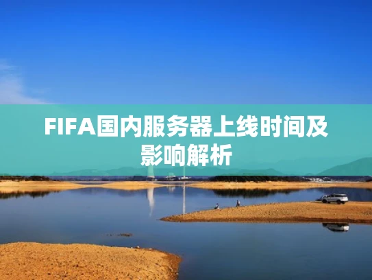 FIFA国内服务器上线时间及影响解析