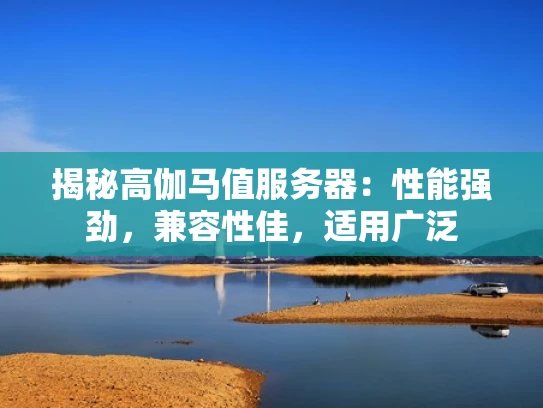 揭秘高伽马值服务器：性能强劲，兼容性佳，适用广泛