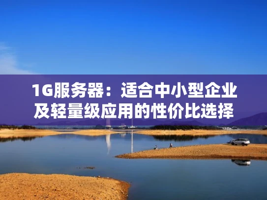 1G服务器：适合中小型企业及轻量级应用的性价比选择