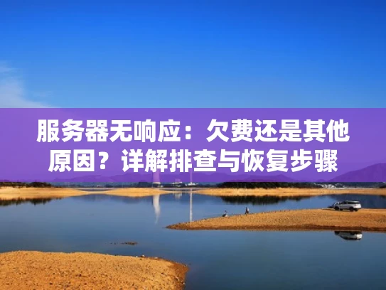 服务器无响应：欠费还是其他原因？详解排查与恢复步骤