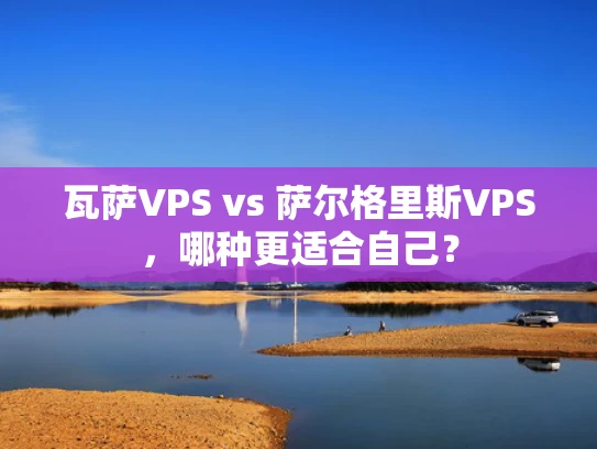 瓦萨VPS vs 萨尔格里斯VPS，哪种更适合自己？