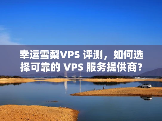 幸运雪梨VPS 评测，如何选择可靠的 VPS 服务提供商？